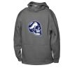 ATC™ PTECH® FLEECE YOUTH HOODIE Thumbnail