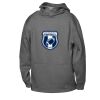 ATC™ PTECH® FLEECE YOUTH HOODIE Thumbnail