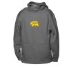 ATC™ PTECH® FLEECE YOUTH HOODIE Thumbnail