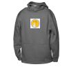 ATC™ PTECH® FLEECE YOUTH HOODIE Thumbnail